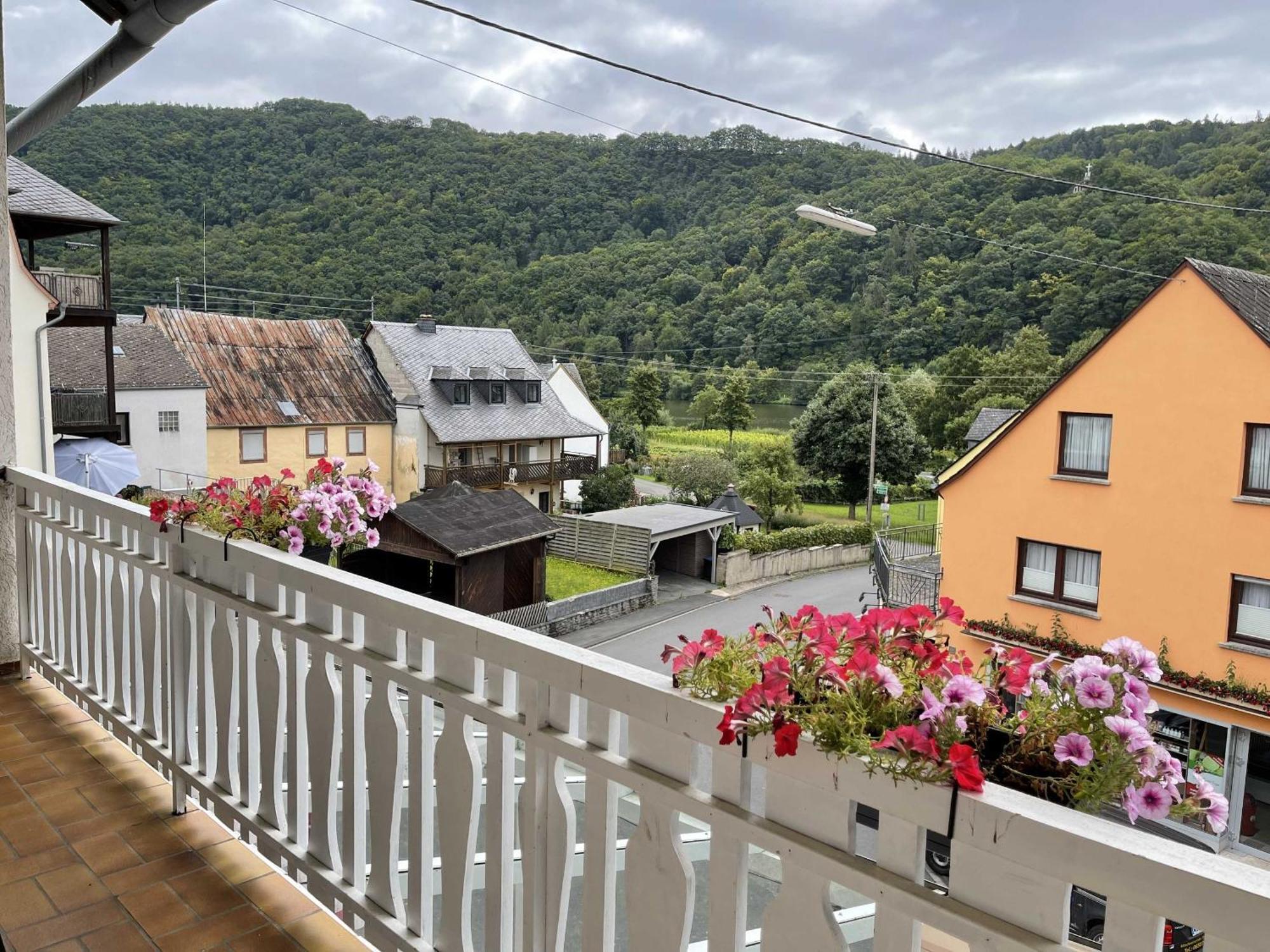 Hotel Zur Mosel Minheim Exterior photo